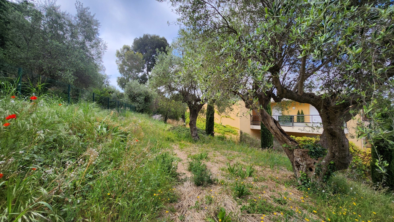 Image_, Appartement, Nice, ref :132