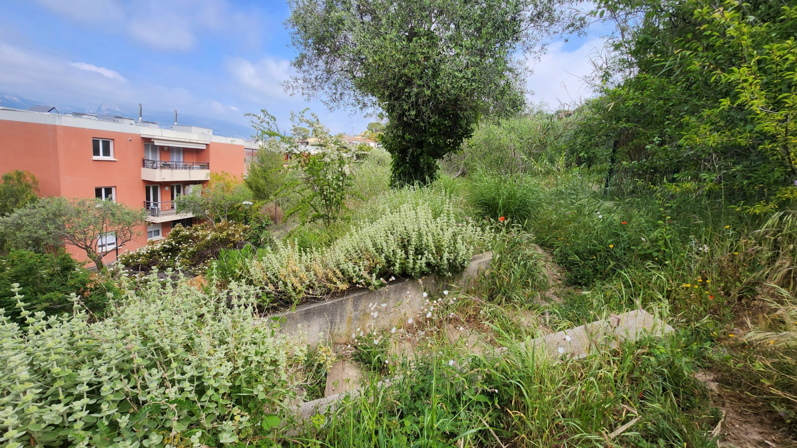 Image_, Appartement, Nice, ref :132