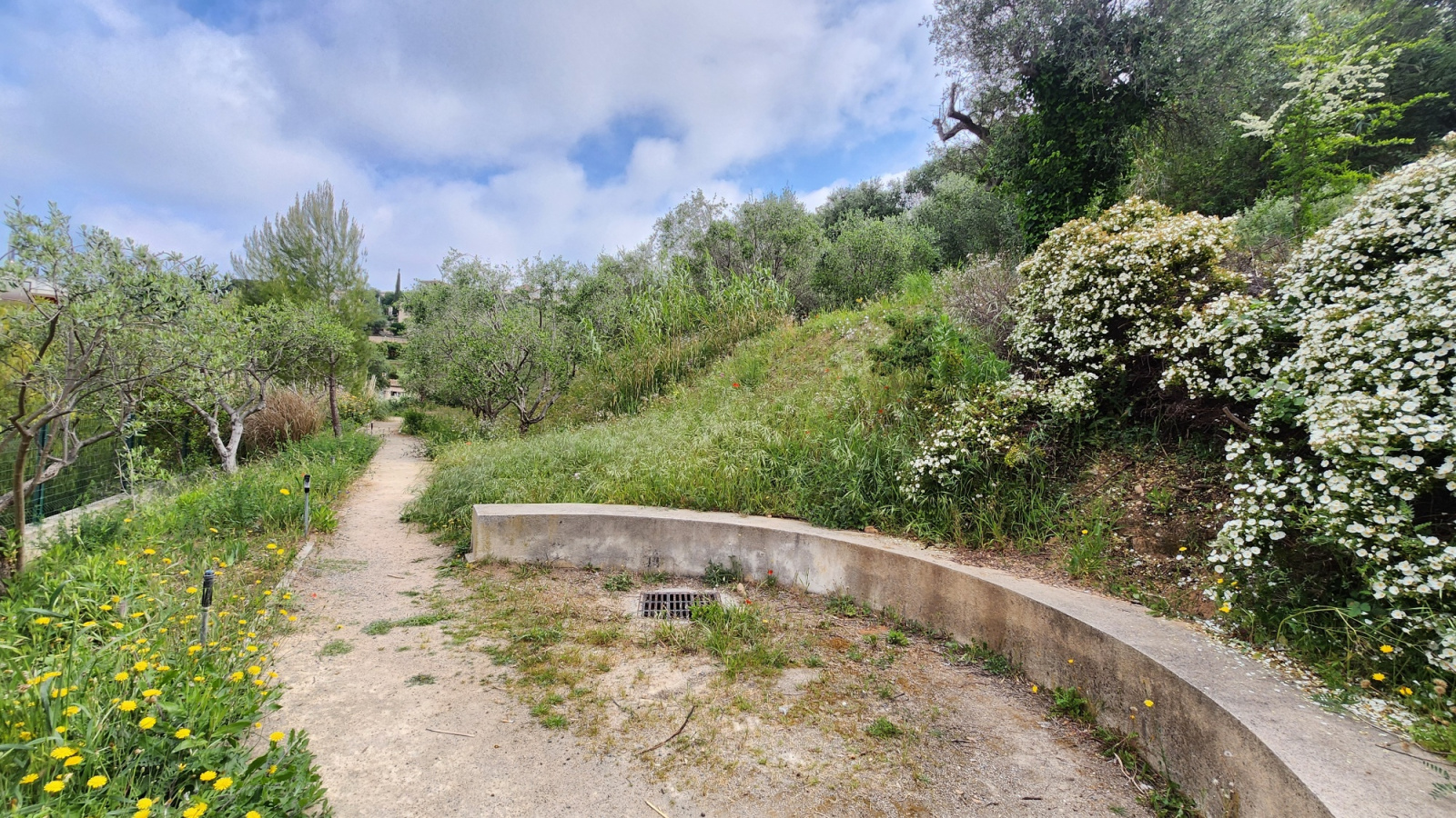 Image_, Appartement, Nice, ref :132