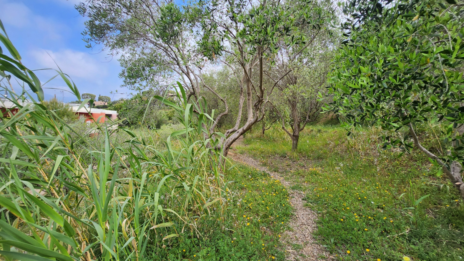 Image_, Appartement, Nice, ref :132