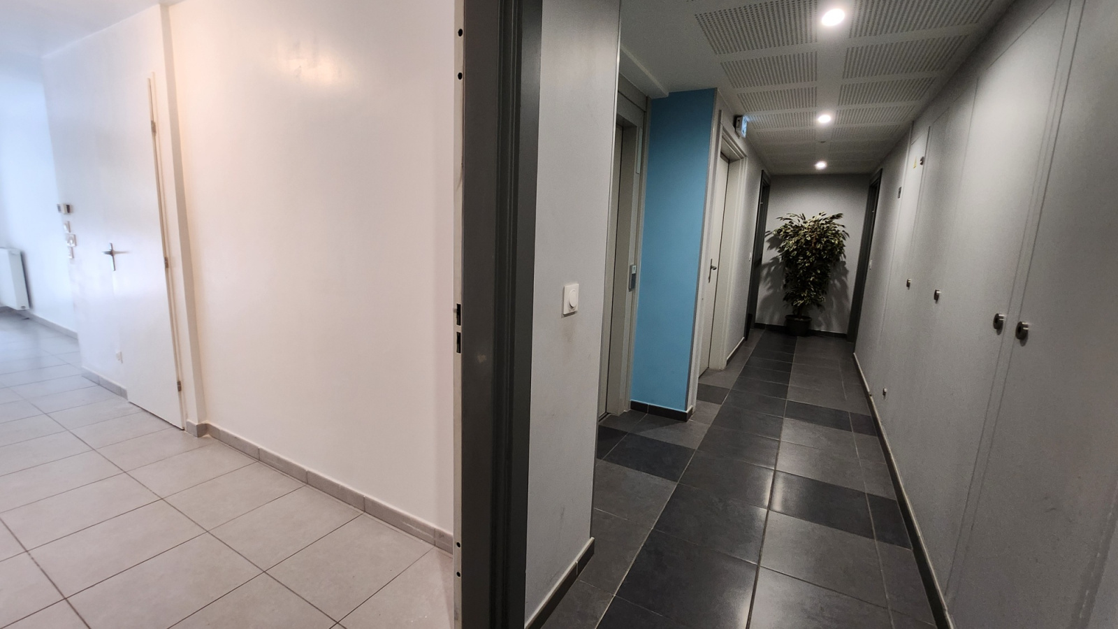 Image_, Appartement, Nice, ref :15