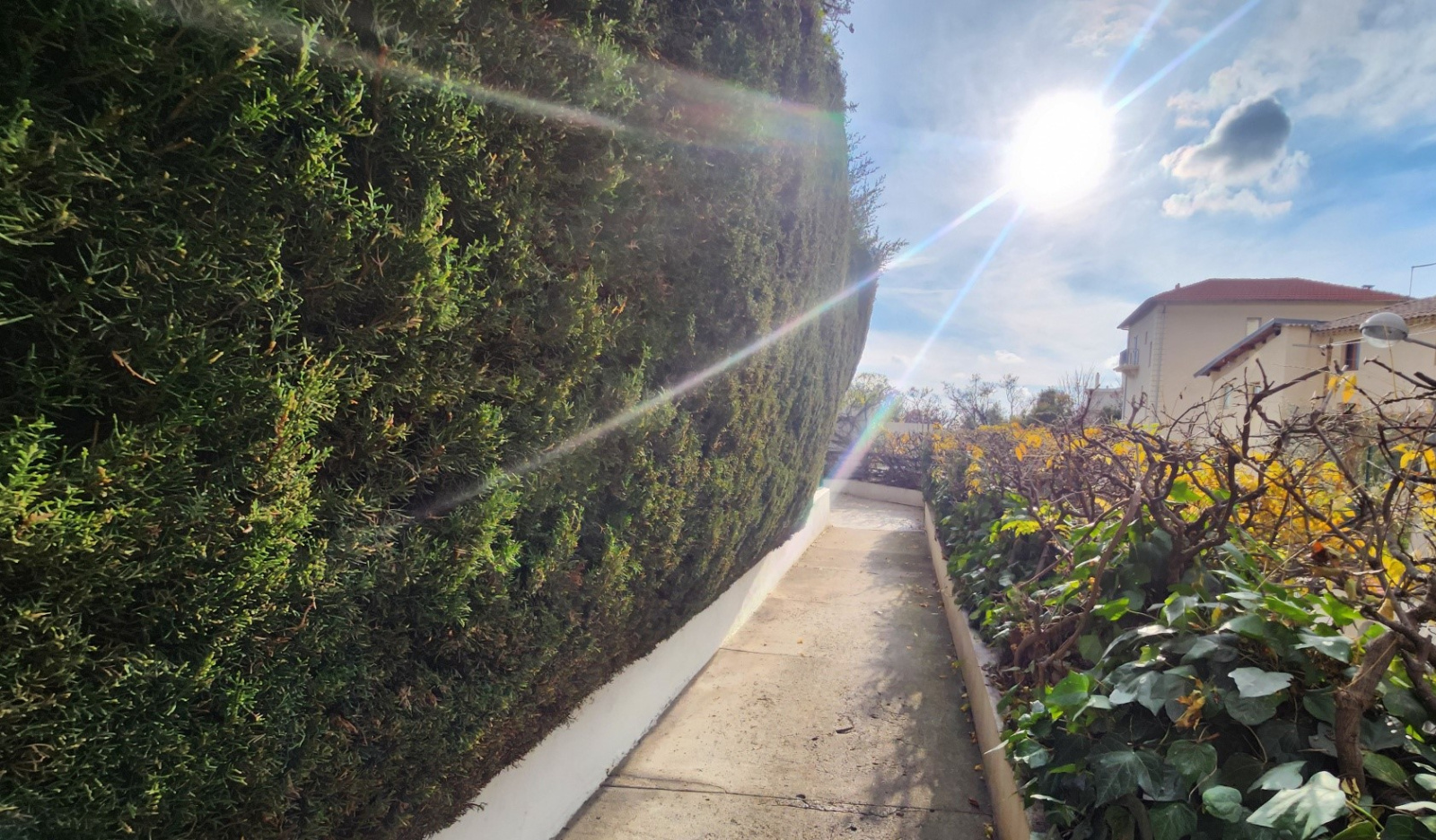 Image_, Appartement, Nice, ref :6