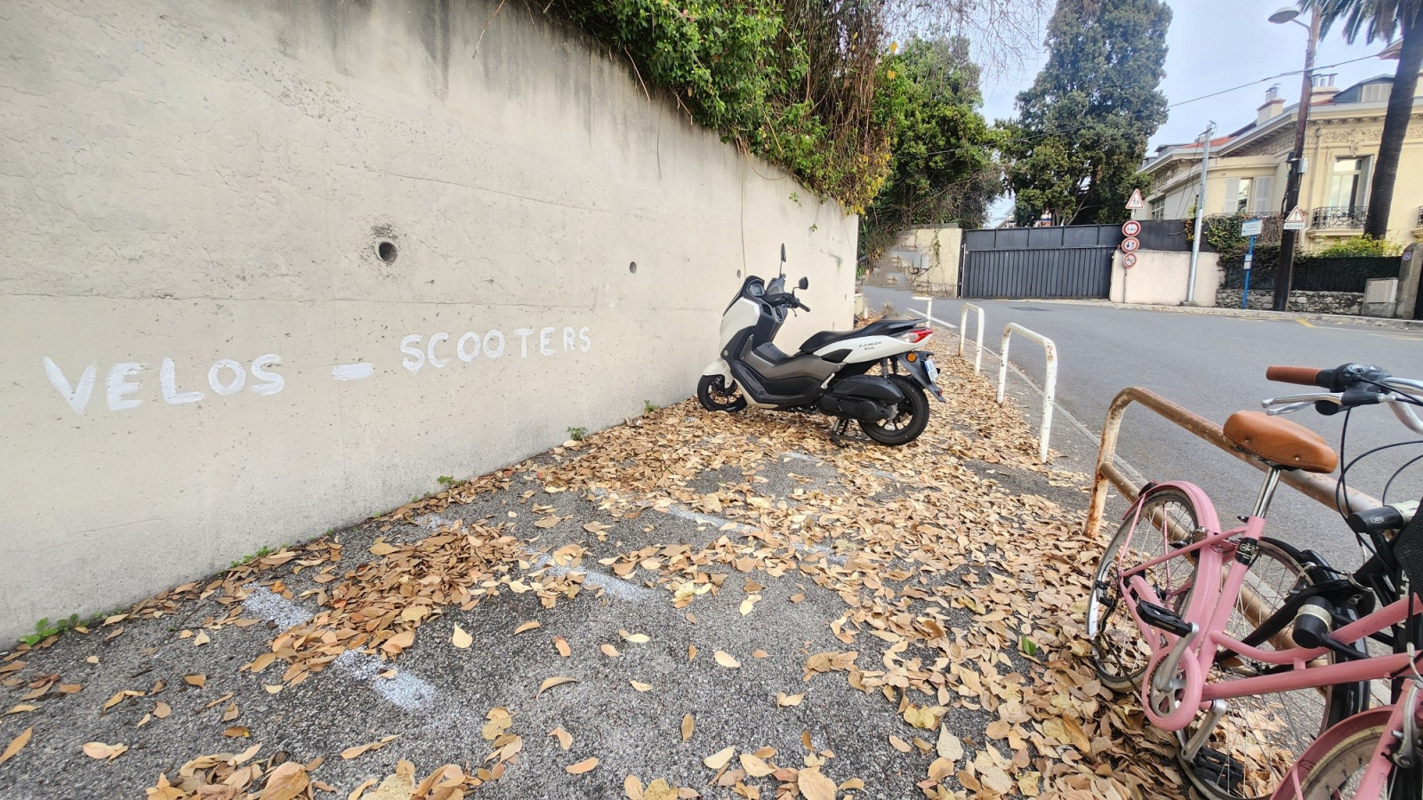 Image_, Appartement, Nice, ref :6