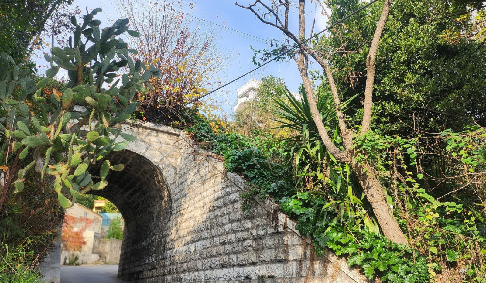 Image_, Appartement, Nice, ref :6