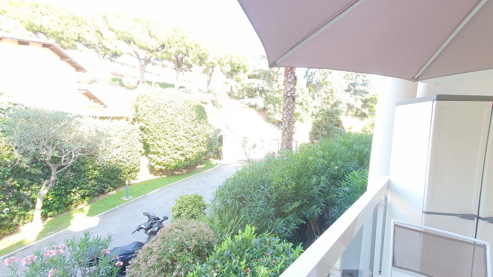 Image_, Appartement, Nice, ref :11