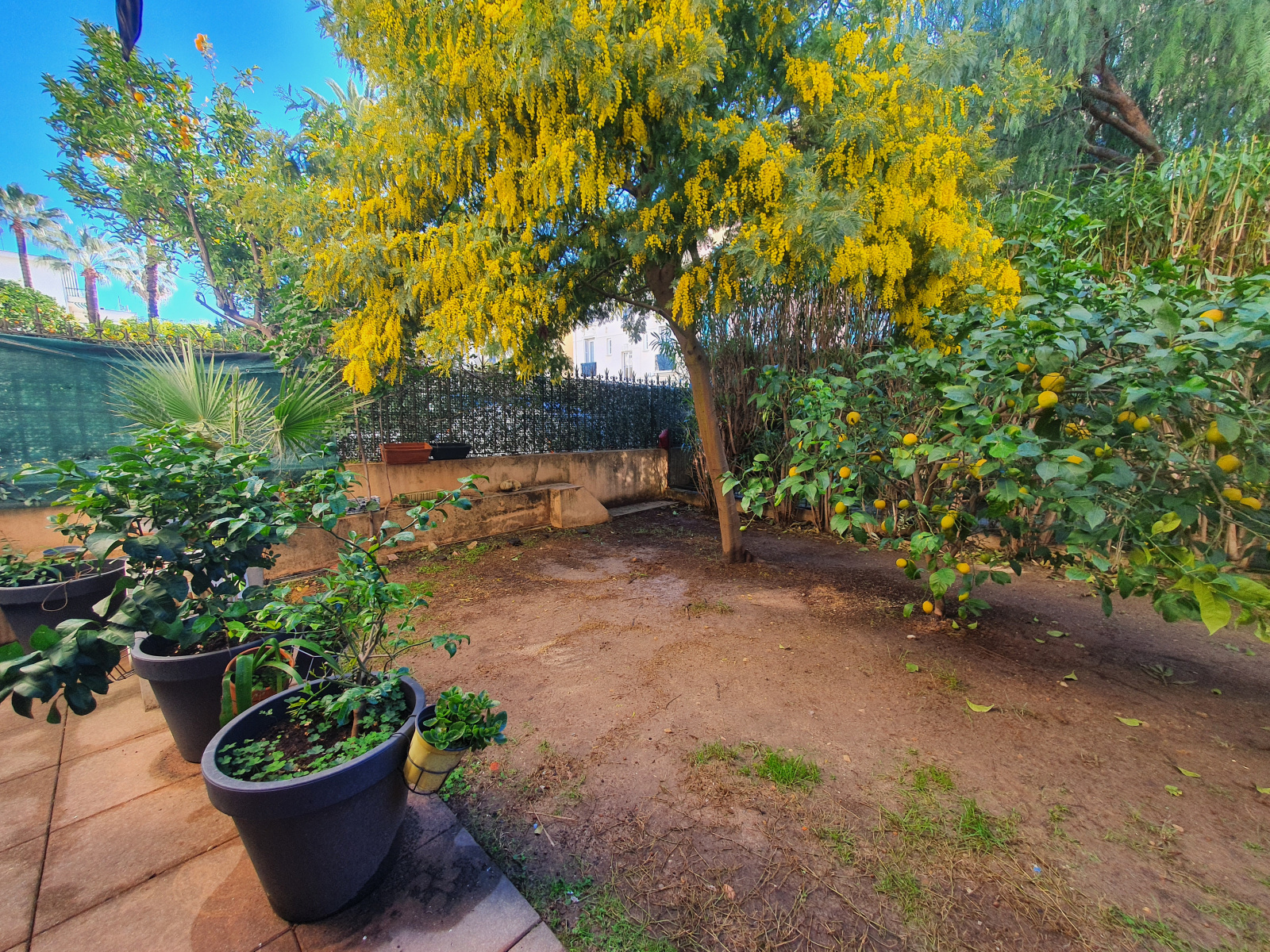 Image_, Appartement, Nice, ref :2046