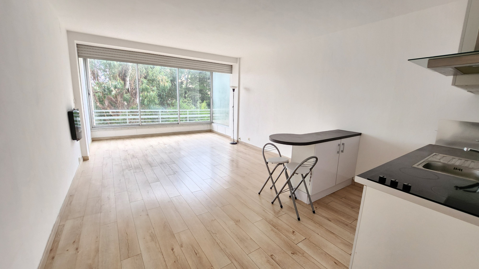 Image_, Appartement, Cannes, ref :25