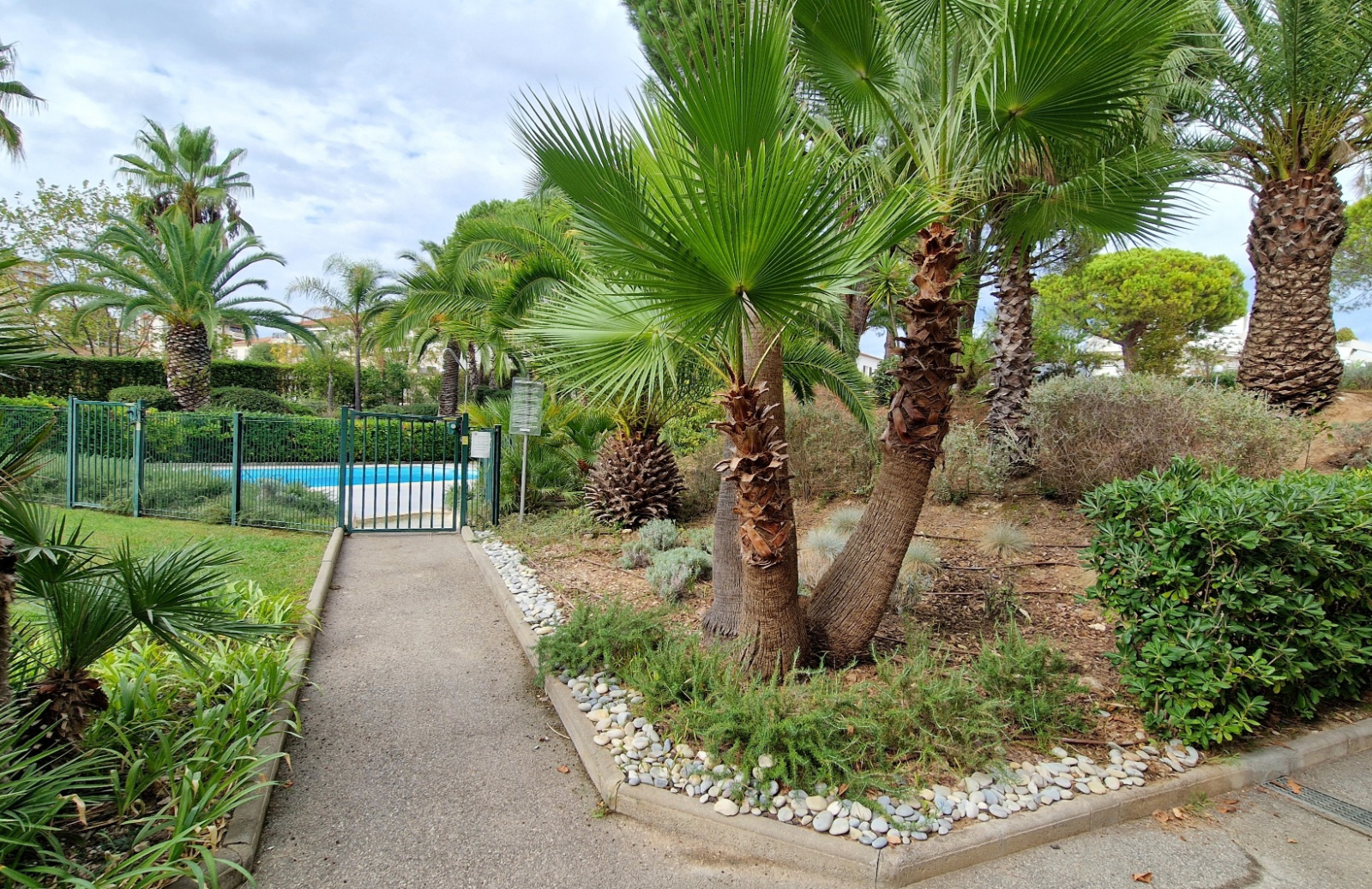 Image_, Appartement, Nice, ref :133