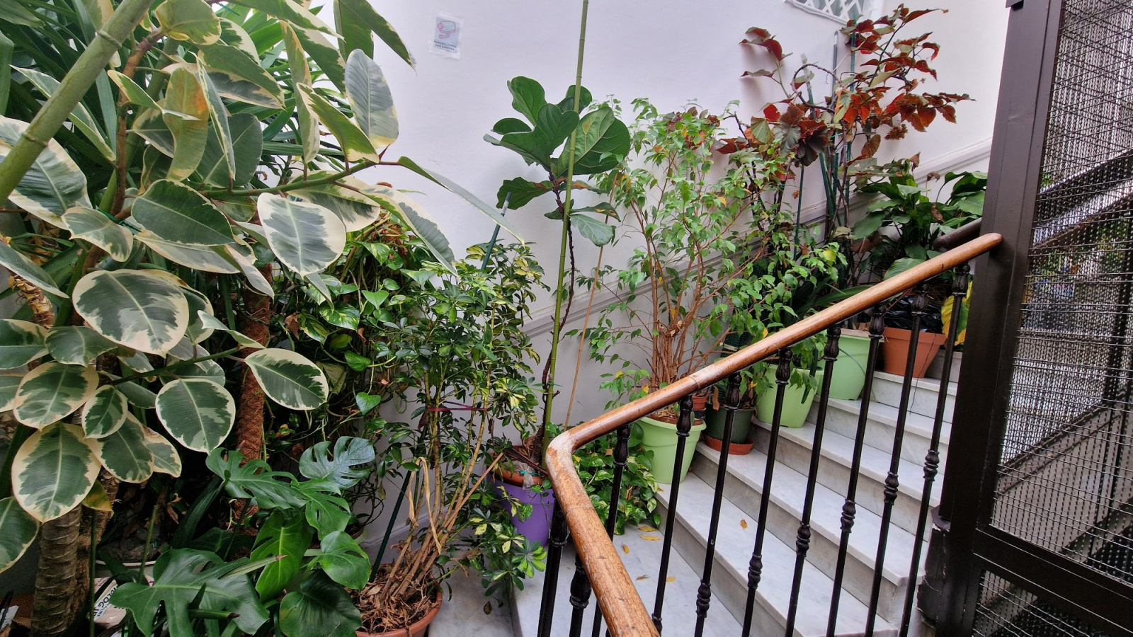 Image_, Appartement, Nice, ref :1 bis